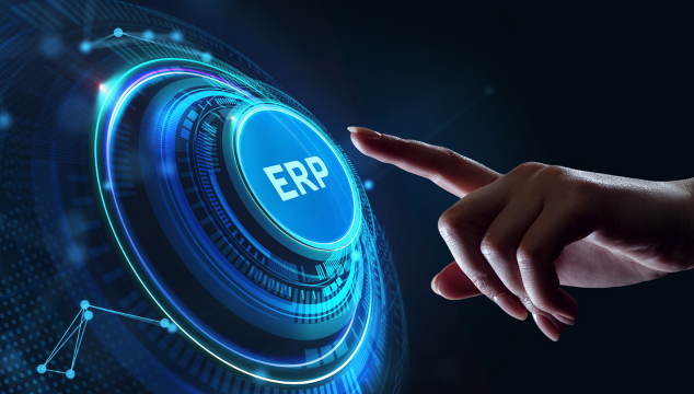 ERP-development Service